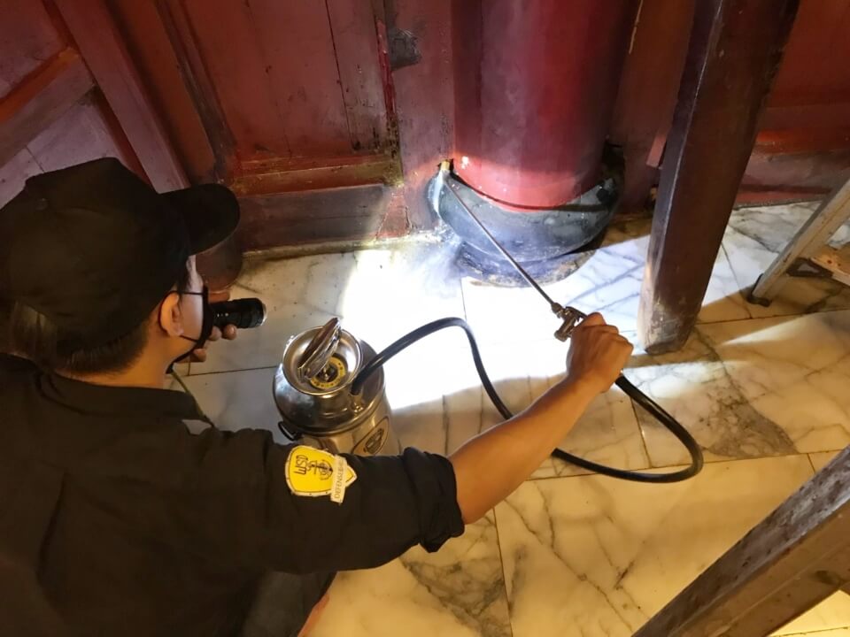 白蟻防治施作案例2